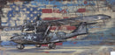 USA Air Force WW2 Era Fighter Plane Mixed Media 3D Wall Art