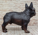 French Bulldog Puppy Bronze Sculpture Figure Signed Art