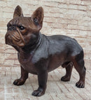 French Bulldog Puppy Bronze Sculpture Figure Signed Art