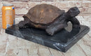 Limited Edition Bronze Tortoise Turtle Life Size Sculpture