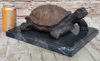 Limited Edition Bronze Tortoise Turtle Life Size Sculpture