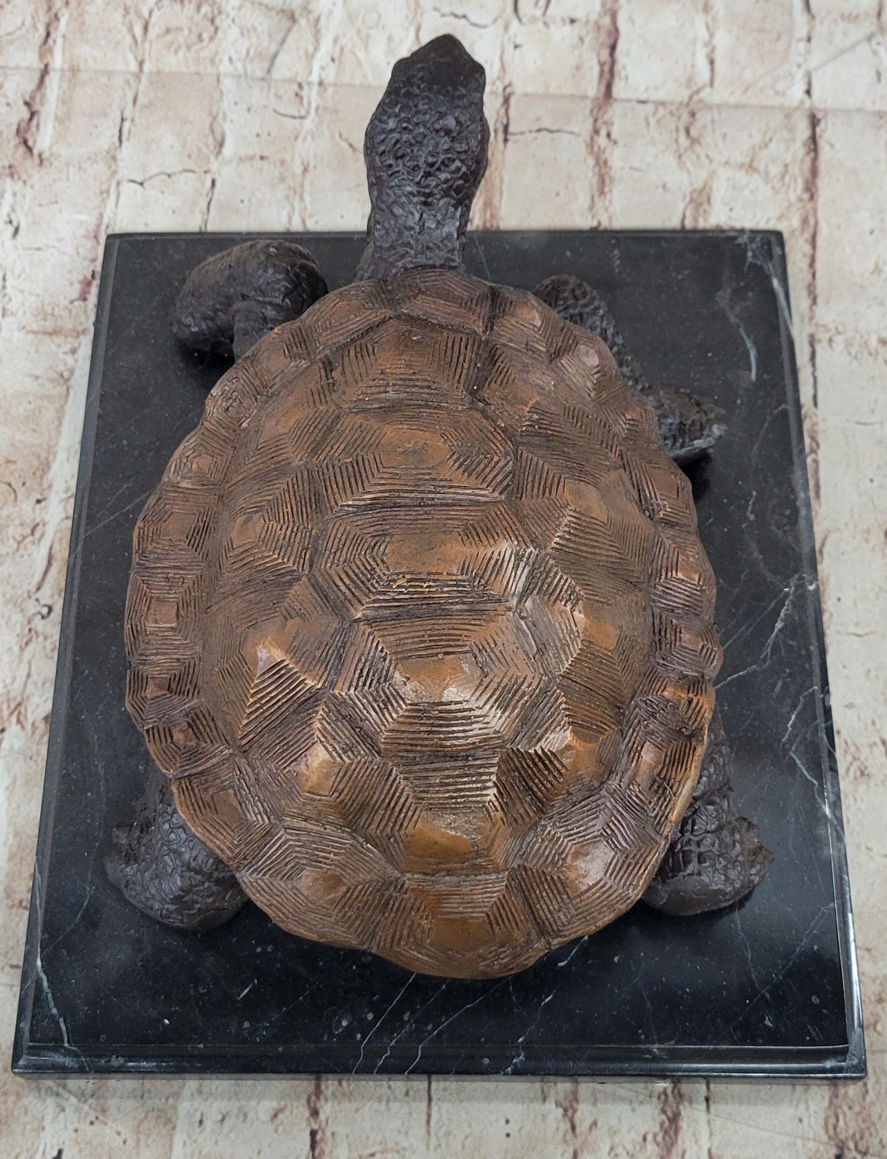 Limited Edition Bronze Tortoise Turtle Life Size Sculpture