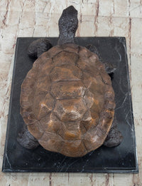 Limited Edition Bronze Tortoise Turtle Life Size Sculpture