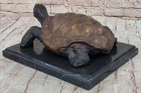 Limited Edition Bronze Tortoise Turtle Life Size Sculpture