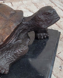 Limited Edition Bronze Tortoise Turtle Life Size Sculpture