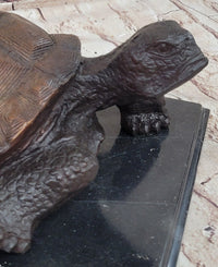 Limited Edition Bronze Tortoise Turtle Life Size Sculpture
