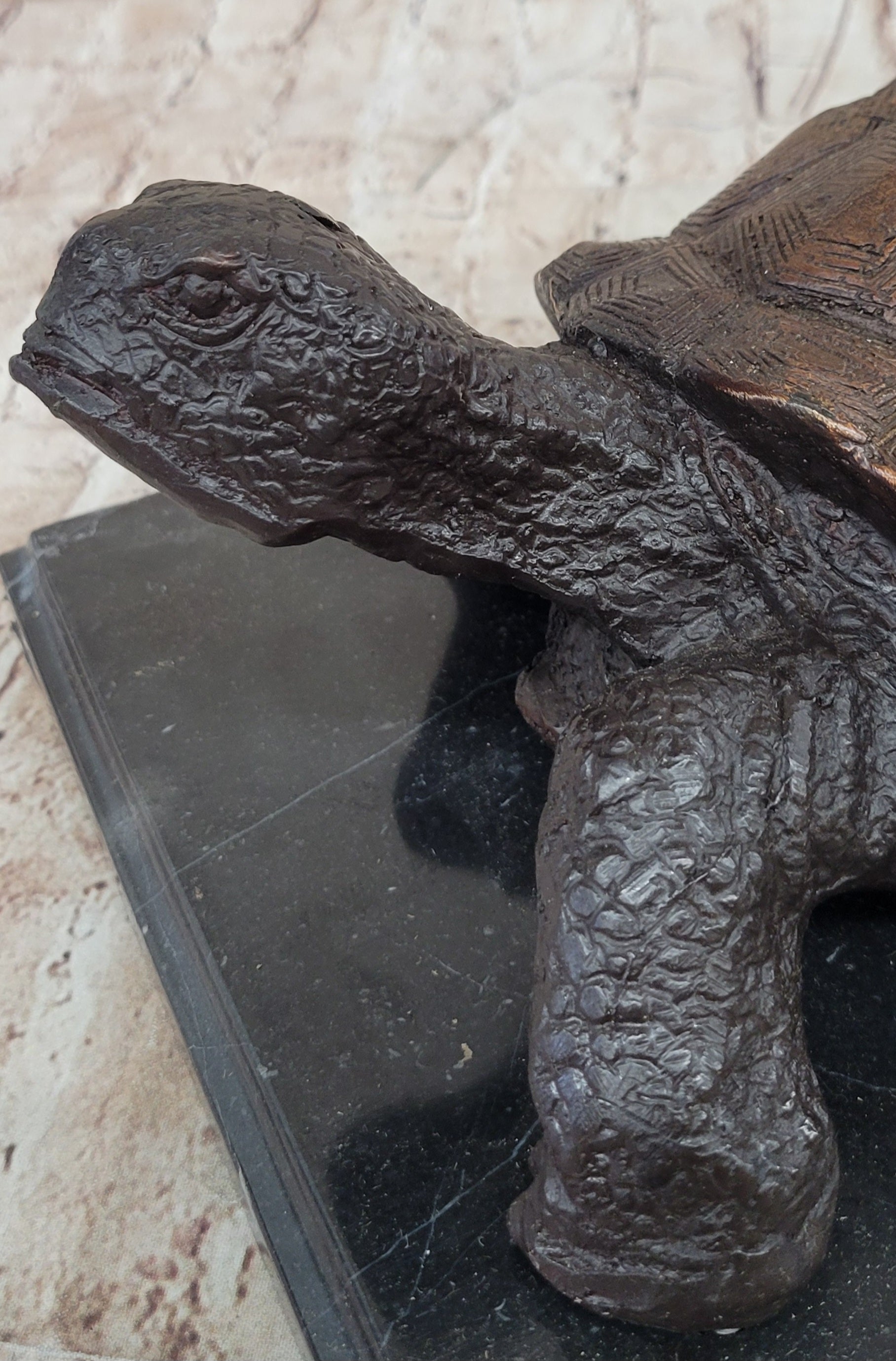 Limited Edition Bronze Tortoise Turtle Life Size Sculpture