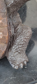 Limited Edition Bronze Tortoise Turtle Life Size Sculpture