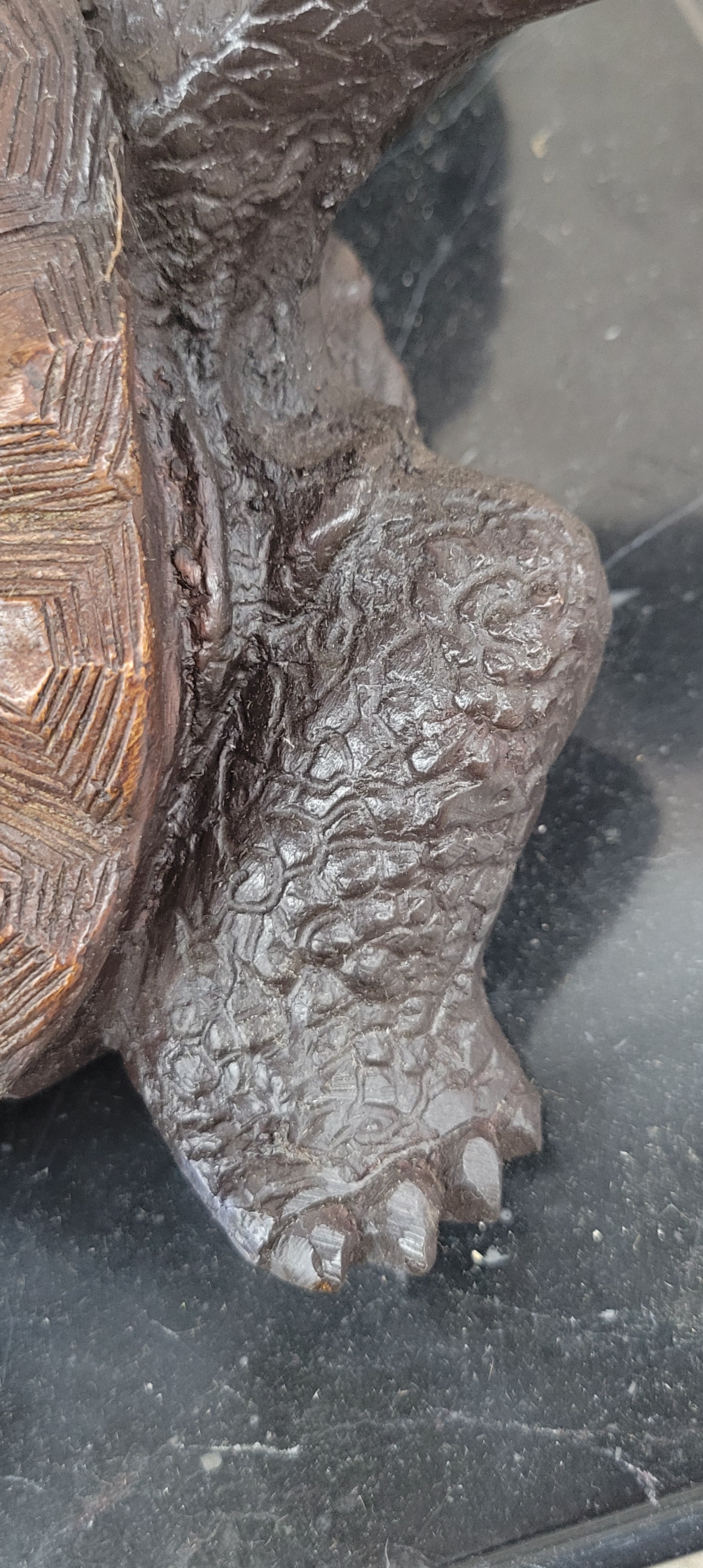 Limited Edition Bronze Tortoise Turtle Life Size Sculpture