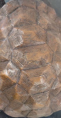 Limited Edition Bronze Tortoise Turtle Life Size Sculpture