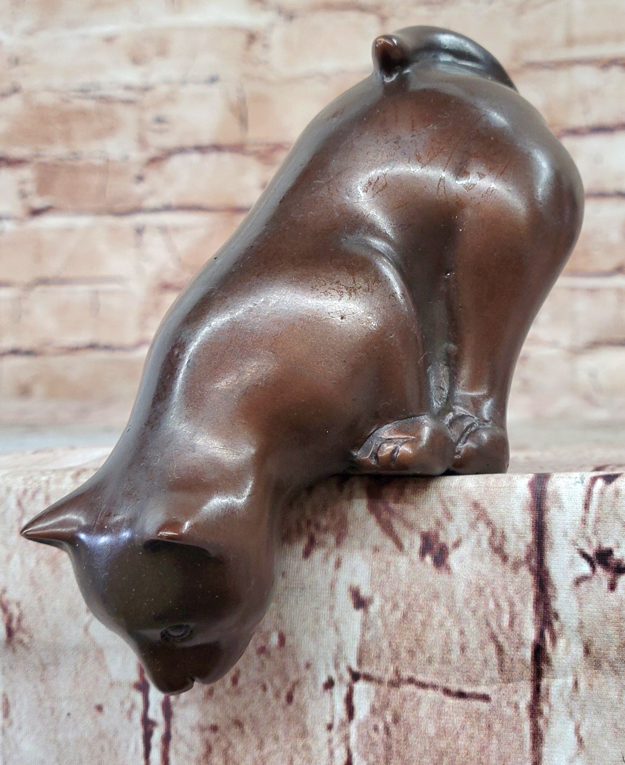Cat Kitten Sitting on Edge Bronze Sculpture 3" x 6"