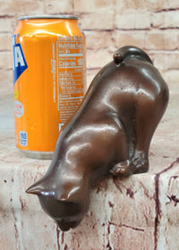 Cat Kitten Sitting on Edge Bronze Sculpture 3" x 6"
