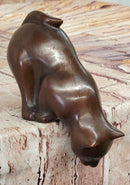 Cat Kitten Sitting on Edge Bronze Sculpture 3" x 6"