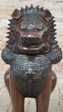 Bronze Foo Dog Guardian – Oriental Protective Lion
