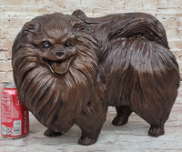 Life Size Pomeranian Dog Puppy Bronze Sculpture 13" x 16"