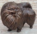 Life Size Pomeranian Dog Puppy Bronze Sculpture 13" x 16"