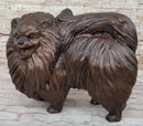 Life Size Pomeranian Dog Puppy Bronze Sculpture 13" x 16"