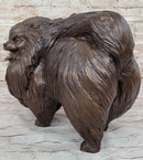 Life Size Pomeranian Dog Puppy Bronze Sculpture 13" x 16"