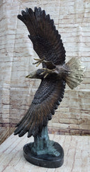 Life Size American Bald Eagle Bronze Sculpture 33" x 23"