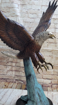 Swooping American Bald Eagle Real Bronze Sculpture 30" x 21"