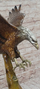 Multi Color Patina American Bald Eagle Bronze 32" x 26"
