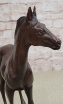 Arabian Horse Stallion Bronze Sculpture by Moigniez On Marble Base Figurine Gift