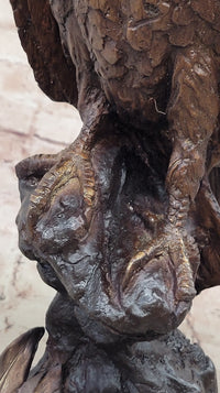 Two Tone American Bald Eagle Bronze Sculpture 18" x 9"