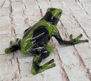Green & Black Poison Dart Tree Frog Bronze Metal Signed & Numbered