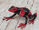 Red & Black Poison Dart Tree Frog Sculpture Figurine Signed Original Numbered Collectible
