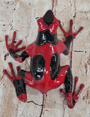 Red & Black Poison Dart Tree Frog Sculpture Figurine Signed Original Numbered Collectible