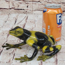 Yellow & Black Poison Dart Tree Frog Bronze Metal Sculpture Signed