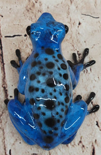 Blue Poison Dart Tree Frog Bronze Metal Sculpture Signed Art