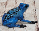 Blue Poison Dart Tree Frog Bronze Metal Sculpture Signed Art