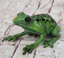 Bronze Green Tree Frog Sculpture Signed Original Art Numbered