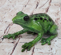 Bronze Green Tree Frog Sculpture Signed Original Art Numbered