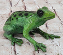 Bronze Green Tree Frog Sculpture Signed Original Art Numbered