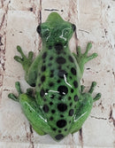 Bronze Green Tree Frog Sculpture Signed Original Art Numbered