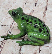 Bronze Green Tree Frog Sculpture Signed Original Art Numbered