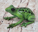 Bronze Green Tree Frog Sculpture Signed Original Art Numbered