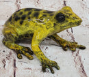 Yellow Poison Dart Tree Frog Bronze Sculpture by Marius