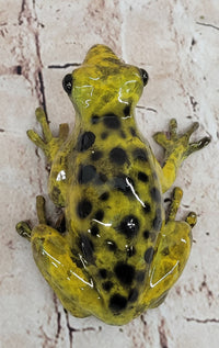 Yellow Poison Dart Tree Frog Bronze Sculpture by Marius