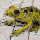 Yellow Poison Dart Tree Frog Bronze Sculpture by Marius