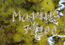 Yellow Poison Dart Tree Frog Bronze Sculpture by Marius
