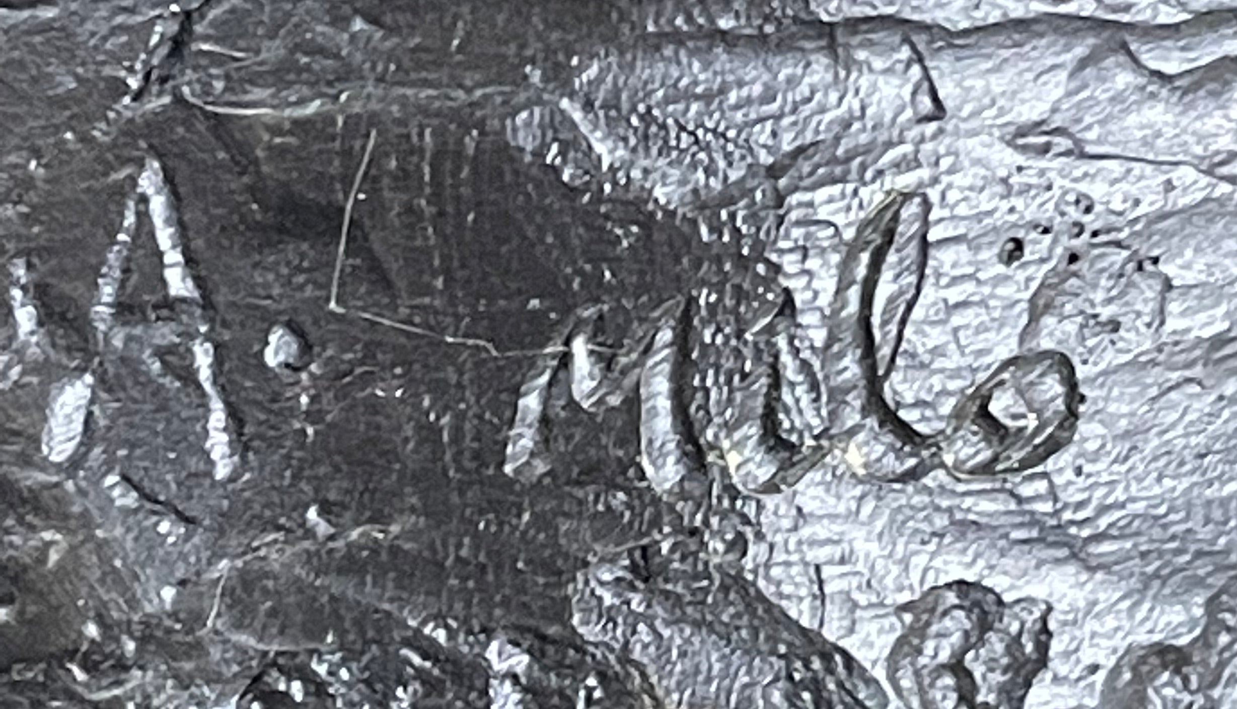 American Bald Eagle Head Bronze Bust by Milo on Marble Base