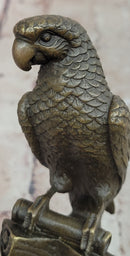 Bronze Parrot Macaw Bird Bronze Figure Sculpture Antique Style by Milo
