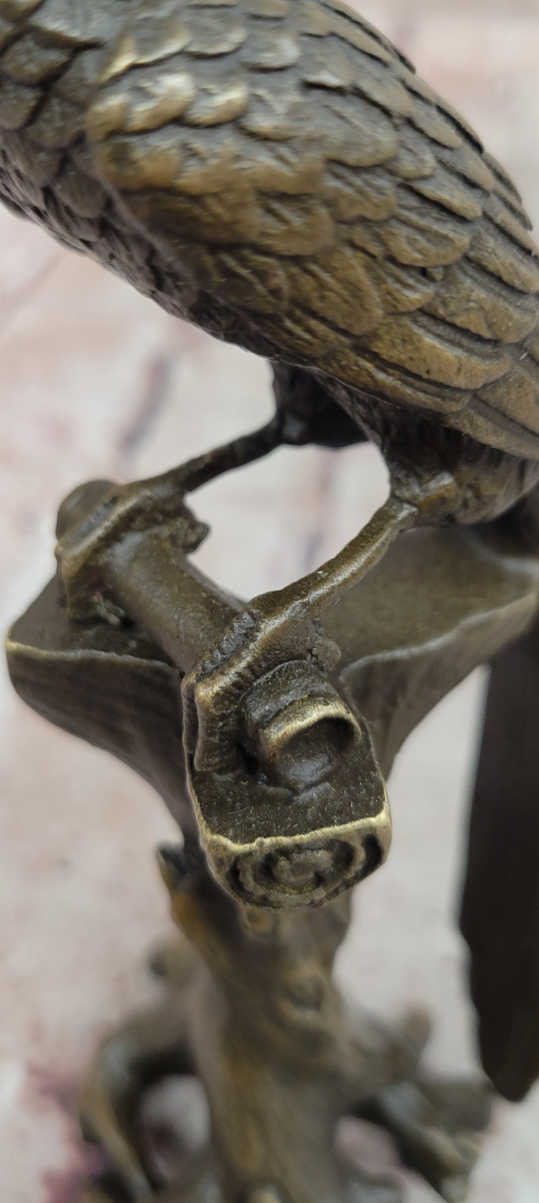 Bronze Parrot Macaw Bird Bronze Figure Sculpture Antique Style by Milo