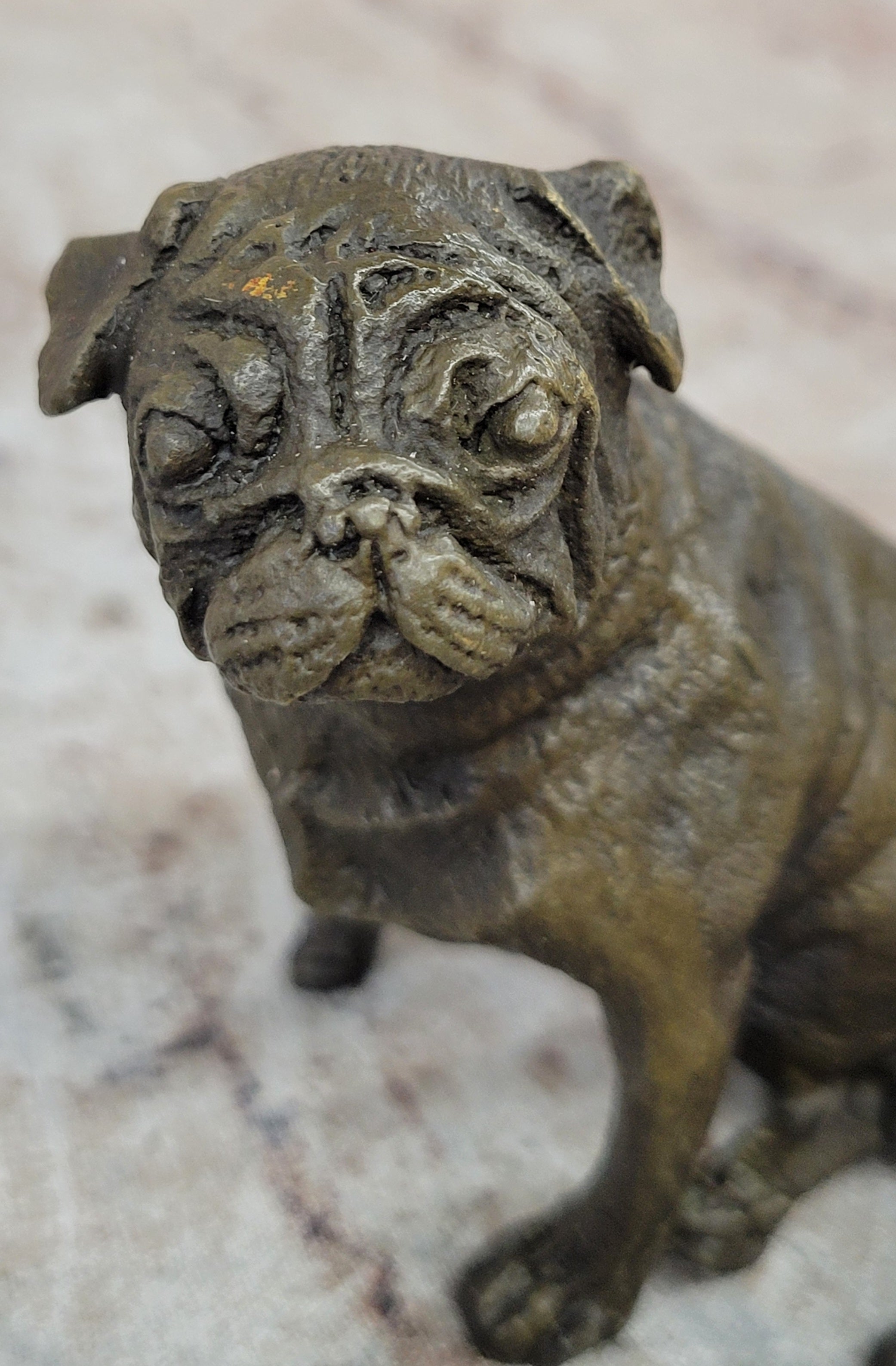 Pug Dog Bronze Miniature Sculpture 4" x 4"