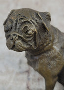 Pug Dog Bronze Miniature Sculpture 4" x 4"