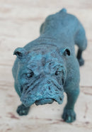 English Bulldog Bronze Metal Sculpture Blue Patina
