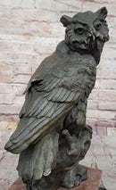 Milo Watchful Owl on Branch – Bronze Sculpture with Marble Base